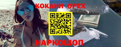 дмт Гатчина