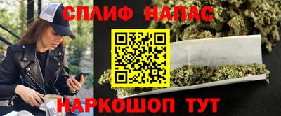 дмт Гатчина