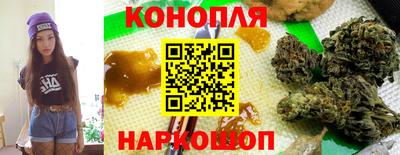 дмт Гатчина