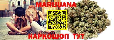 дмт Гатчина