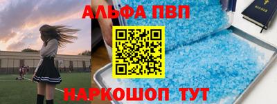 дмт Гатчина