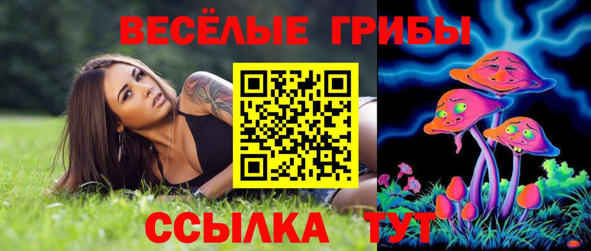 Псилоцибиновые грибы Psilocybine cubensis Гулькевичи